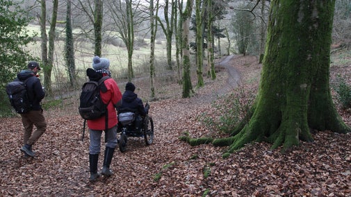 A group, including a wheelchair user, walking along the trail in Cockshot wood on a cloudy winter's day
